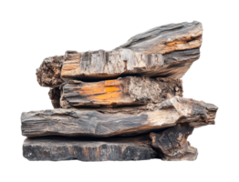 Stack of petrified wood logs displaying unique texture and color variations, cut out png