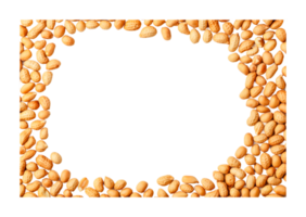 Scattered peanuts frame design with empty center, cut out png