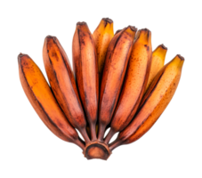 Ripe red bananas cluster on isolated display, cut out png