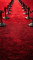 Red carpet walkway leads to an elegant event venue with stanchions and ropes creating a formal atmosphere photo