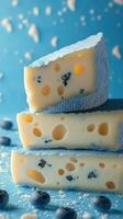 Unique blue cheese varieties arranged beautifully on a bright blue background with blueberries scattered around photo