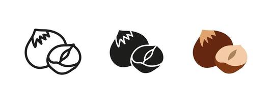 Hazelnut icon. Fresh and healthy hazelnut with shell illustration. Organic nut symbol. Delicious and nutritious snack pictogram. Vegan and vegetarian food concept. vector