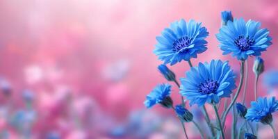 Vibrant blue flowers bloom against a dreamy pink background in a tranquil garden setting during springtime photo