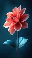 Beautiful orange flower with delicate petals stands tall against a dark blue background photo