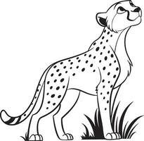 Line art coloring pages for kids for brain development. Cheetah outline illustration and ready for print vector