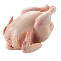 Whole fresh raw chicken available for roasting and meal preparation. png