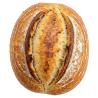 Fresh bakery bread with a crusty exterior and soft interior for daily enjoyment. png
