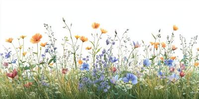 Bright wildflowers bloom in a sunny meadow showcasing vibrant colors and lush greenery on a clear day photo