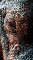 Close-up view of textured reptile skin revealing intricate patterns and vibrant colors in natural lighting photo