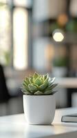 Indoor succulent in a modern workspace with natural light and soft bokeh photo
