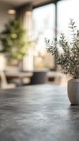 Plant in a minimalistic indoor space with soft natural light highlighting the decor photo