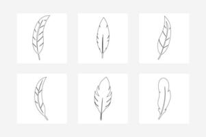 Black Feather Set Elegant Outline Illustration for Design vector