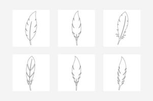 set of hand drawn feathers .Black Feather Set Elegant Outline Illustration for Design and Decoration vector