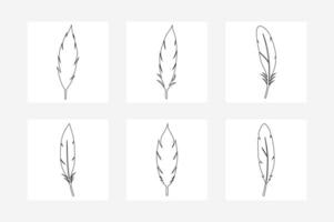 set of hand drawn Black Feather Set Elegant Outline Illustration for Design vector