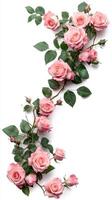 Beautiful arrangement of pink roses with foliage on a light background perfect for decoration or design elements photo