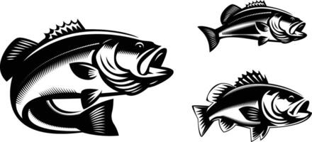 simple silhouette of bass fish vector