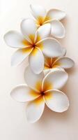 Delicate white plumeria flowers with yellow accents arranged on a light background photo