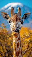 Giraffe standing gracefully against a clear blue sky with a mountain backdrop during a sunny day photo