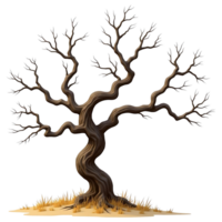 Realistic Bare Tree with Branches Perfect for Wilderness Nature Themes png