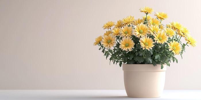 brillante amarillo flores en un decorativo maceta crear un alegre atmósfera en un minimalista espacio foto