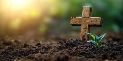 Wooden cross marks a grave with a small green sprout in soft soil during golden hour light photo