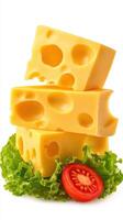 Blocks of yellow cheese stacked on fresh green lettuce with a slice of tomato on the side photo