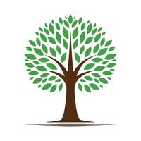Collection of trees. tree set isolated on white background. illustration. vector