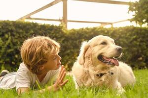 Boy lying on grass with dog in park photo