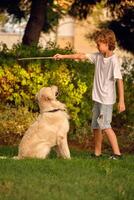 Child playing with dog with stick photo