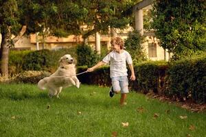 Happy child with stick playing with dog photo