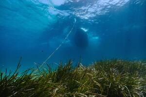 View from bottom of sea on floating yacht photo
