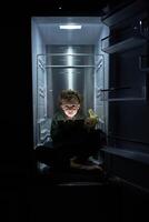Funny boy with tablet sitting in refrigerator photo