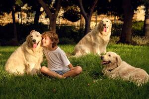 Smiling boy stroking dogs in park photo
