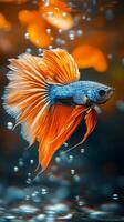A fish with orange fins is swimming in a tank with water droplets. The fish is surrounded by bubbles, which give the image a playful and lively atmosphere photo