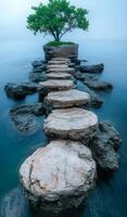 Rocks and steps lead to a solitary tree. Steps of large rocks create a pathway to a green tree on a small island surrounded by calm water. photo