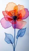Colorful fabric flower in light. A vibrant flower is created from translucent fabric with layered petals and leaves, showcased in soft lighting. photo