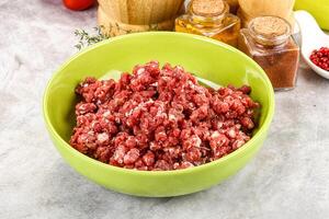 A bowl of ground beef sitting on a counter photo
