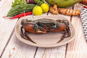 A plate with a crab on it and a bowl of vegetables photo