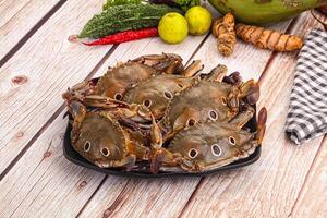 A plate of crabs on a table with vegetables and other food photo