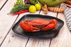 A crab on a black plate with vegetables and spices photo