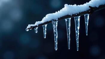 Crystal ice icicles hanging from a dark tree branch, frozen, black background, icicles photo