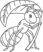 Ant with a Leaf Umbrella Isolated Coloring Page vector