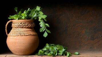 Rustic Clay Pot with Fresh Green Herbs and Leaves on a Dark Brown Background A Still Life Image photo