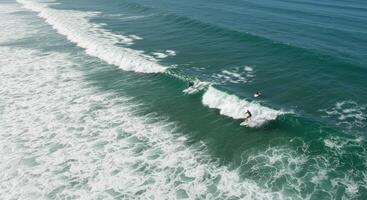 Surfers in the ocean photo