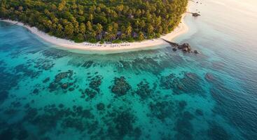 An aerial view of a tropical island with a small beach photo