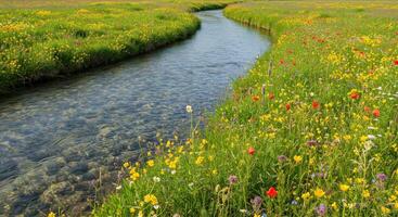 A river running through a field of flowers photo