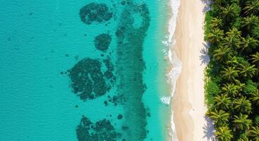 An aerial view of a tropical beach and turquoise water photo