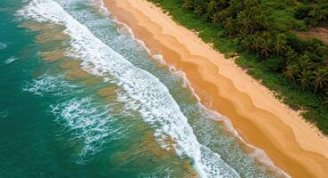 An aerial view of a beach and ocean photo