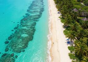Aerial view of tropical beach and turquoise water in mauritius photo