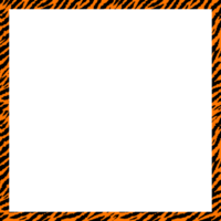 Tiger pattern frame. Square tiger print pattern frame. Tiger seamless pattern png